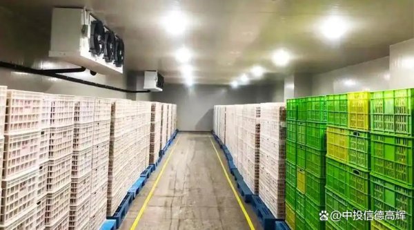 股票实盘配资平台 农产品保鲜库项目可行性研究报告定做编写