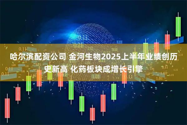 哈尔滨配资公司 金河生物2025上半年业绩创历史新高 化药板块成增长引擎