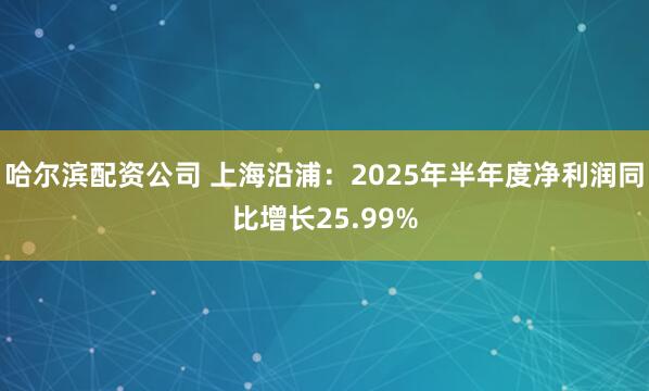 哈尔滨配资公司 上海沿浦：2025年半年度净利润同比增长25.99%